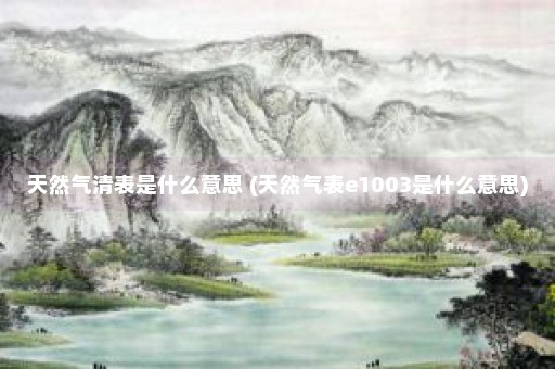 天然气清表是什么意思 (天然气表e1003是什么意思)