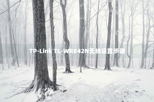 TP-Link TL-WR842N无线设置步骤