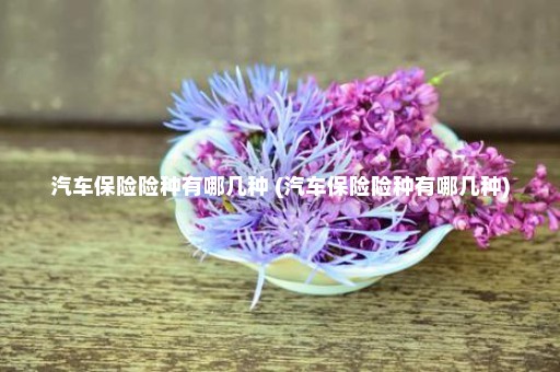 汽车保险险种有哪几种 (汽车保险险种有哪几种)