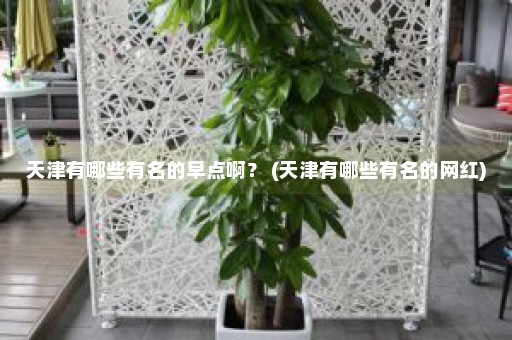 天津有哪些有名的早点啊？ (天津有哪些有名的网红)