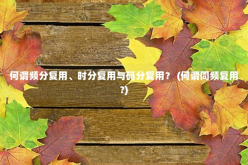 何谓频分复用、时分复用与码分复用？ (何谓同频复用?)