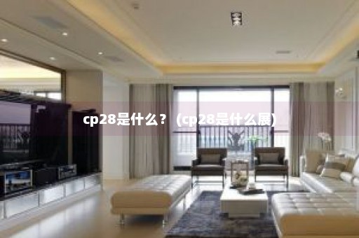 cp28是什么？ (cp28是什么展)