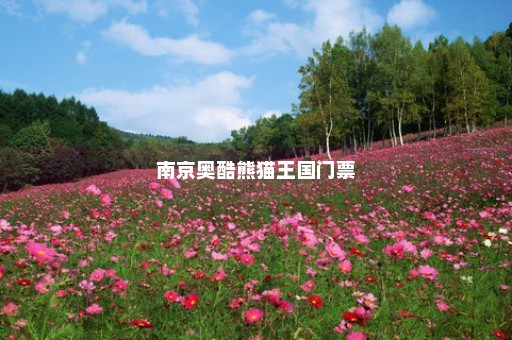 南京奥酷熊猫王国门票