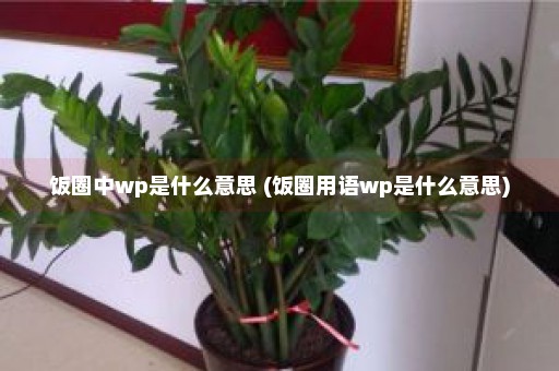 饭圈中wp是什么意思 (饭圈用语wp是什么意思)