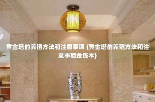 黄金塔的养殖方法和注意事项 (黄金塔的养殖方法和注意事项金钱木)