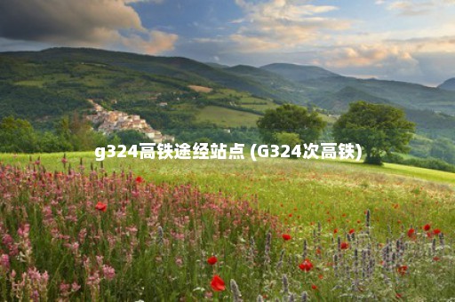 g324高铁途经站点 (G324次高铁)