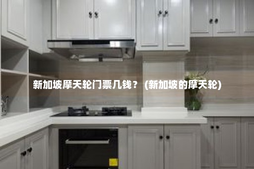 新加坡摩天轮门票几钱？ (新加坡的摩天轮)