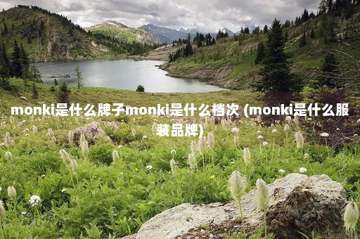 monki是什么牌子monki是什么档次 (monki是什么服装品牌)