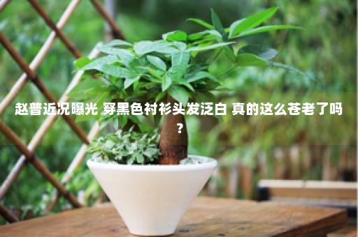 赵普近况曝光 穿黑色衬衫头发泛白 真的这么苍老了吗？