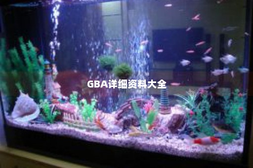 GBA详细资料大全