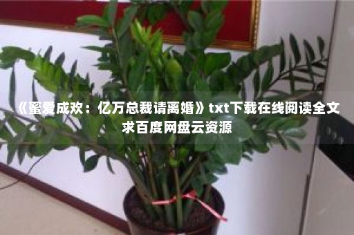 《蜜爱成欢：亿万总裁请离婚》txt下载在线阅读全文 求百度网盘云资源