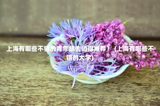 上海有哪些不错的青年旅舍值得推荐？ (上海有哪些不错的大学)