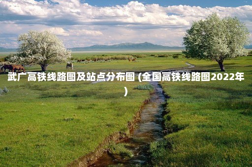 武广高铁线路图及站点分布图 (全国高铁线路图2022年)