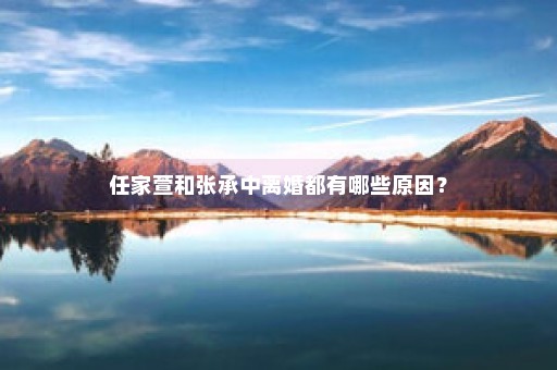 任家萱和张承中离婚都有哪些原因？