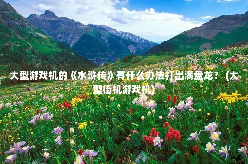 大型游戏机的《水浒传》有什么办法打出满盘龙？ (大型街机游戏机)