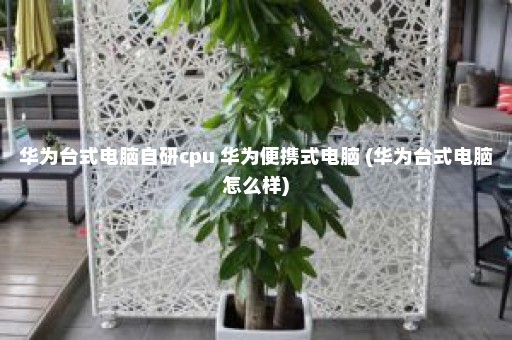 华为台式电脑自研cpu 华为便携式电脑 (华为台式电脑怎么样)