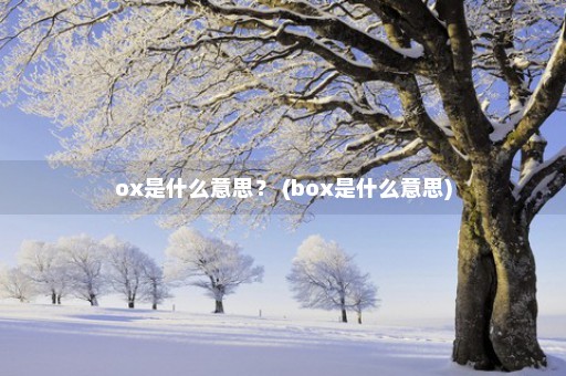 ox是什么意思？ (box是什么意思)