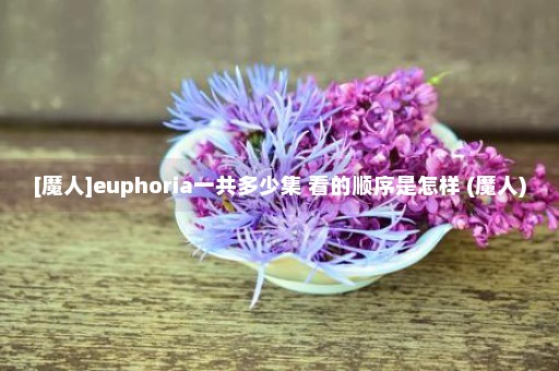 [魔人]euphoria一共多少集 看的顺序是怎样 (魔人)