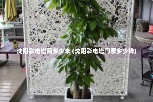 沈阳彩电塔高多少米 (沈阳彩电塔门票多少钱)