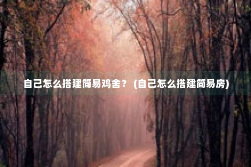 自己怎么搭建简易鸡舍？ (自己怎么搭建简易房)