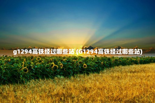 g1294高铁经过哪些站 (G1294高铁经过哪些站)