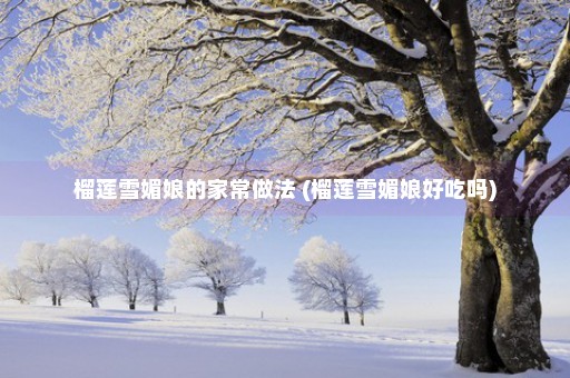 榴莲雪媚娘的家常做法 (榴莲雪媚娘好吃吗)