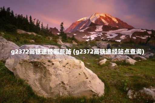 g2372高铁途经哪些站 (g2372高铁途经站点查询)