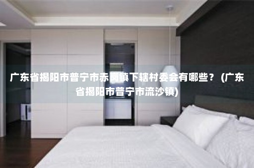 广东省揭阳市普宁市赤岗镇下辖村委会有哪些？ (广东省揭阳市普宁市流沙镇)