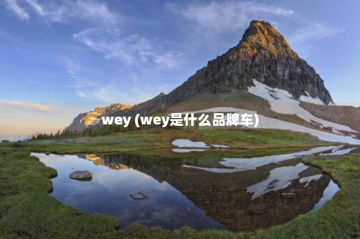 wey (wey是什么品牌车)