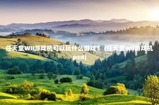 任天堂WII游戏机可以玩什么游戏？ (任天堂wii游戏机psd)