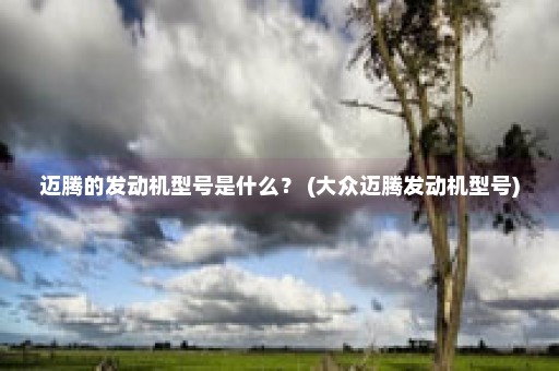 迈腾的发动机型号是什么？ (大众迈腾发动机型号)