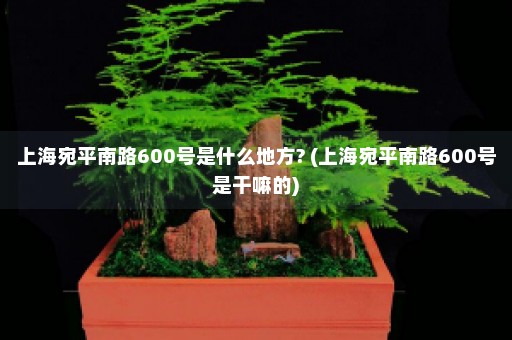 上海宛平南路600号是什么地方? (上海宛平南路600号是干嘛的)