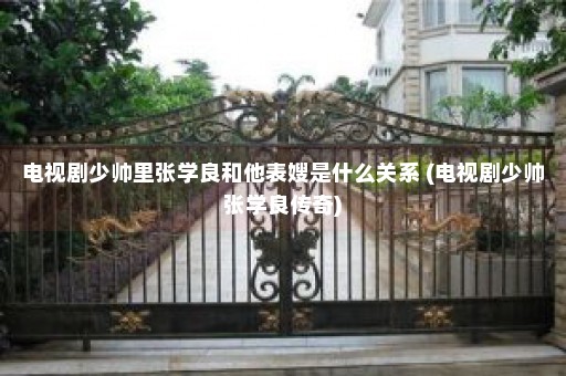 电视剧少帅里张学良和他表嫂是什么关系 (电视剧少帅张学良传奇)