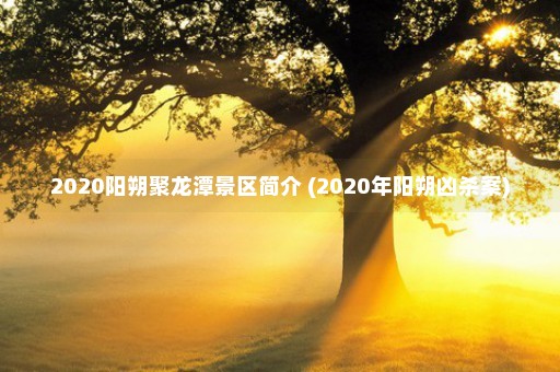 2020阳朔聚龙潭景区简介 (2020年阳朔凶杀案)