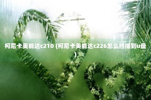 柯尼卡美能达c210 (柯尼卡美能达c226怎么扫描到u盘)