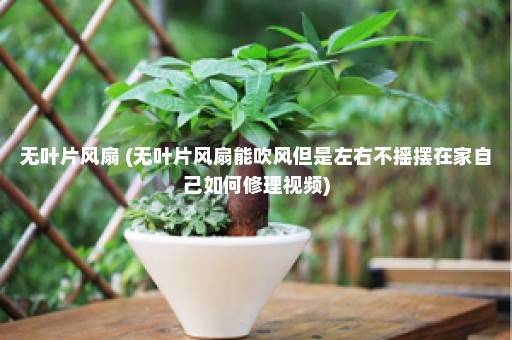 无叶片风扇 (无叶片风扇能吹风但是左右不摇摆在家自己如何修理视频)