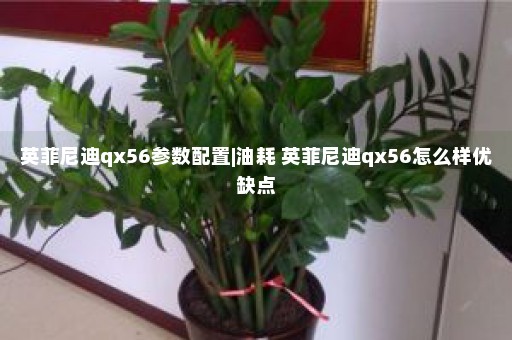 英菲尼迪qx56参数配置|油耗 英菲尼迪qx56怎么样优缺点