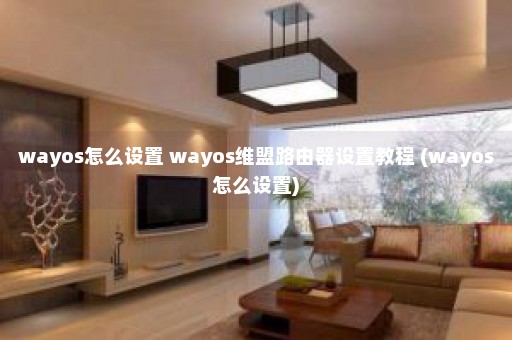 wayos怎么设置 wayos维盟路由器设置教程 (wayos怎么设置)