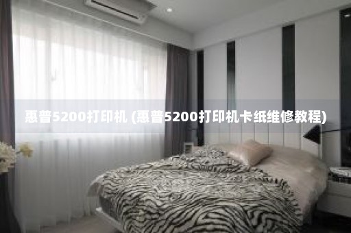 惠普5200打印机 (惠普5200打印机卡纸维修教程)