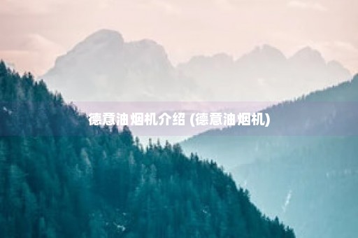 德意油烟机介绍 (德意油烟机)