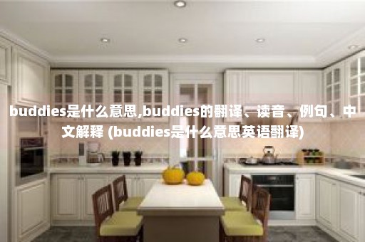 buddies是什么意思,buddies的翻译、读音、例句、中文解释 (buddies是什么意思英语翻译)