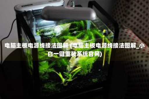 电脑主板电源线接法图解 (电脑主板电源线接法图解_小白一键重装系统官网)