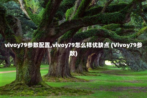 vivoy79参数配置,vivoy79怎么样优缺点 (Vivoy79参数)