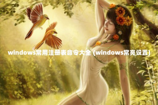 windows常用注册表命令大全 (windows常亮设置)