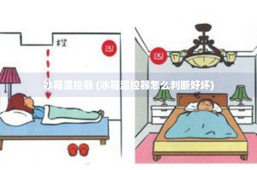 冰箱温控器 (冰箱温控器怎么判断好坏)