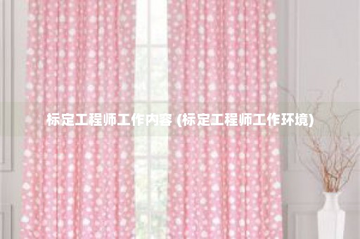 标定工程师工作内容 (标定工程师工作环境)