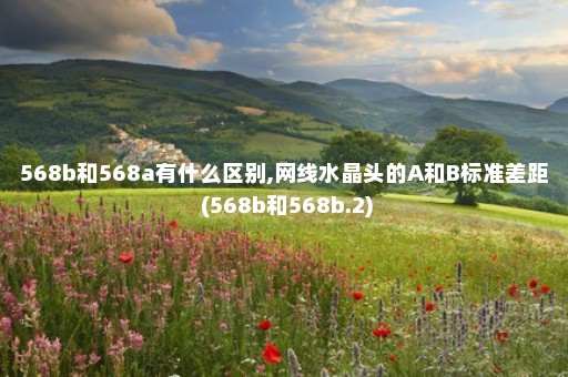 568b和568a有什么区别,网线水晶头的A和B标准差距 (568b和568b.2)