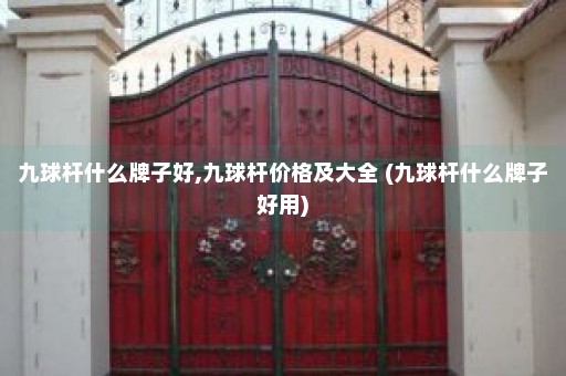 九球杆什么牌子好,九球杆价格及大全 (九球杆什么牌子好用)