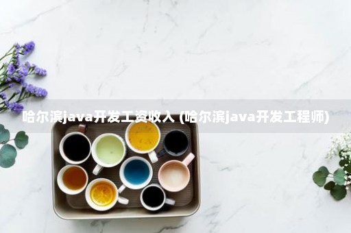 哈尔滨java开发工资收入 (哈尔滨java开发工程师)