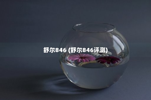 舒尔846 (舒尔846评测)